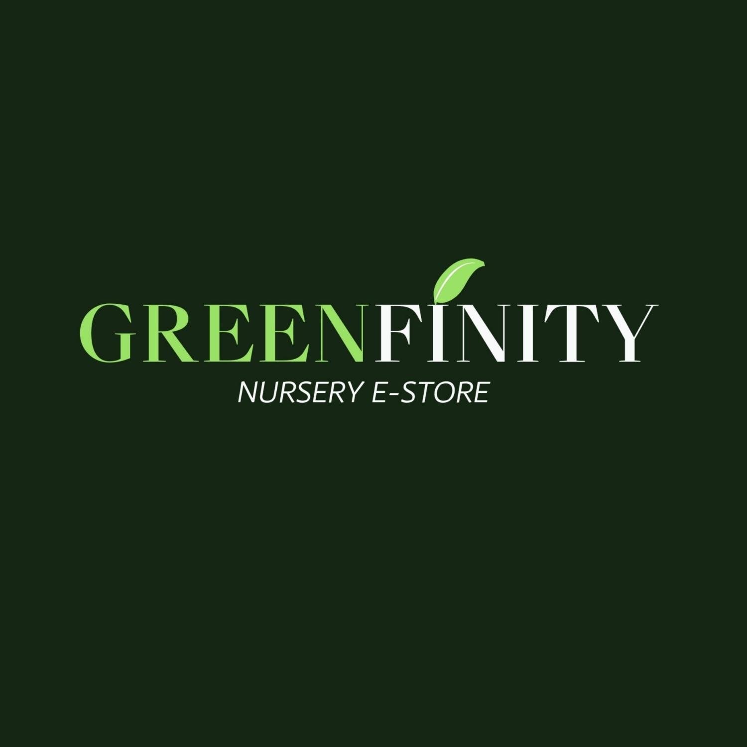 Logo Design 2